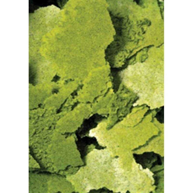 Ocean Nutrition Formula Two Flakes