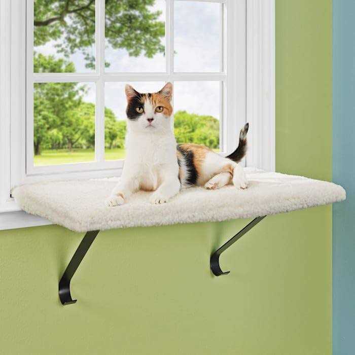 EveryYay Memory Foam Window Cat Perch