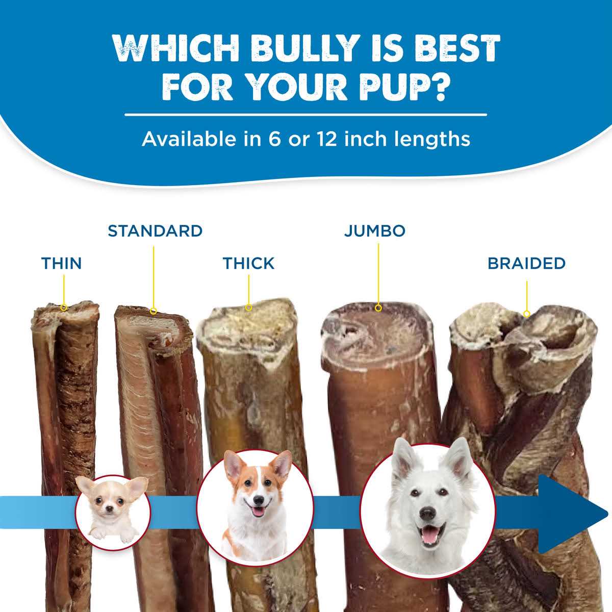 Best Bully Sticks All-Natural Bully Sticks for Dogs