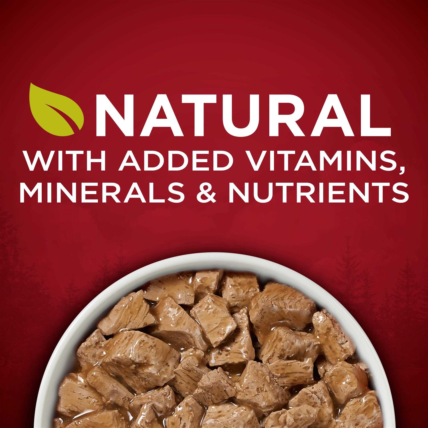 Purina ONE Smartblend Real Turkey & Venison True Instinct Wet Dog Food Can