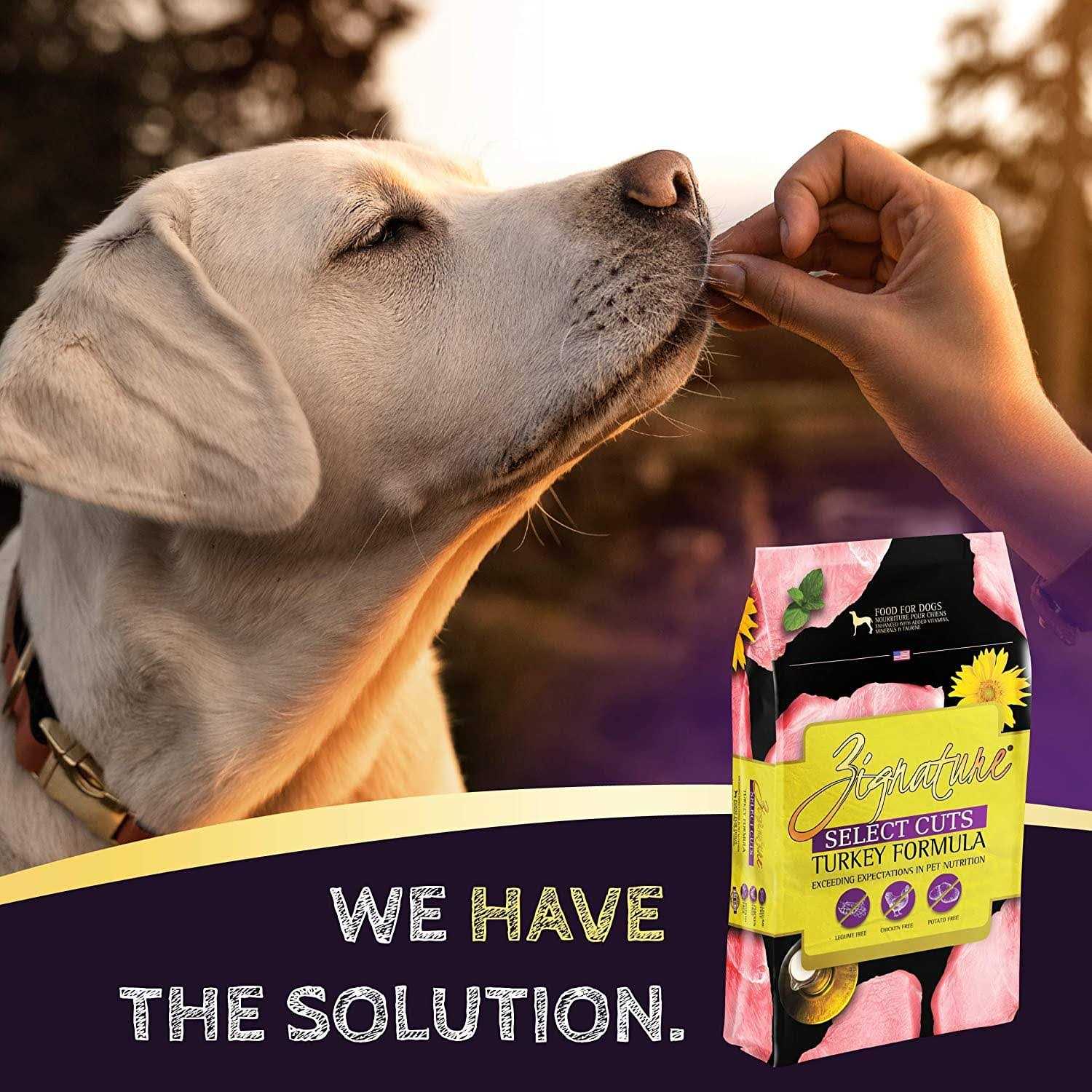 Zignature Select Cuts Turkey Formula Dry Dog Food