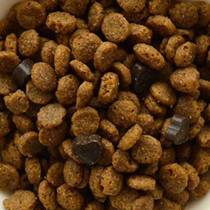 Forza10 Nutraceutic Active Urinary Dry Cat Food