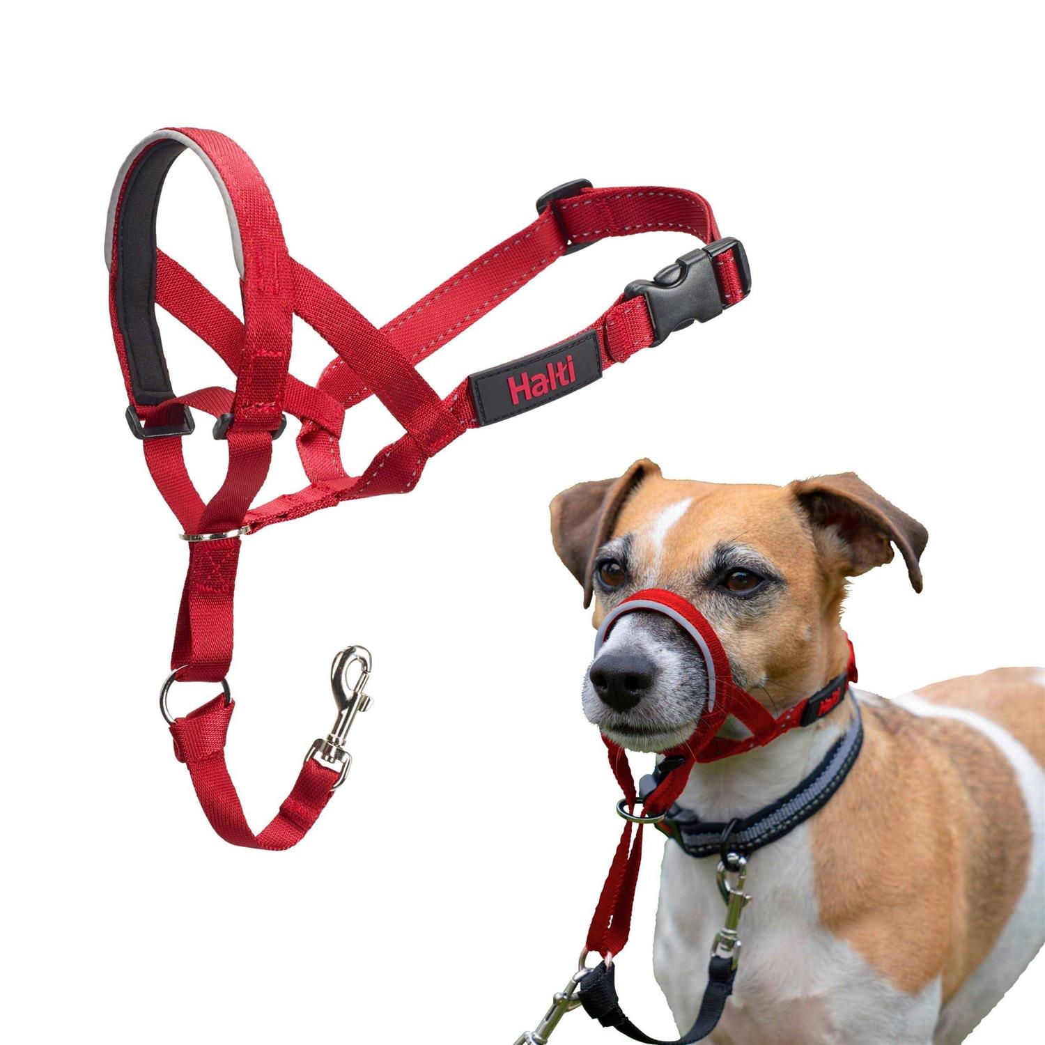 Halti Dog Headcollar