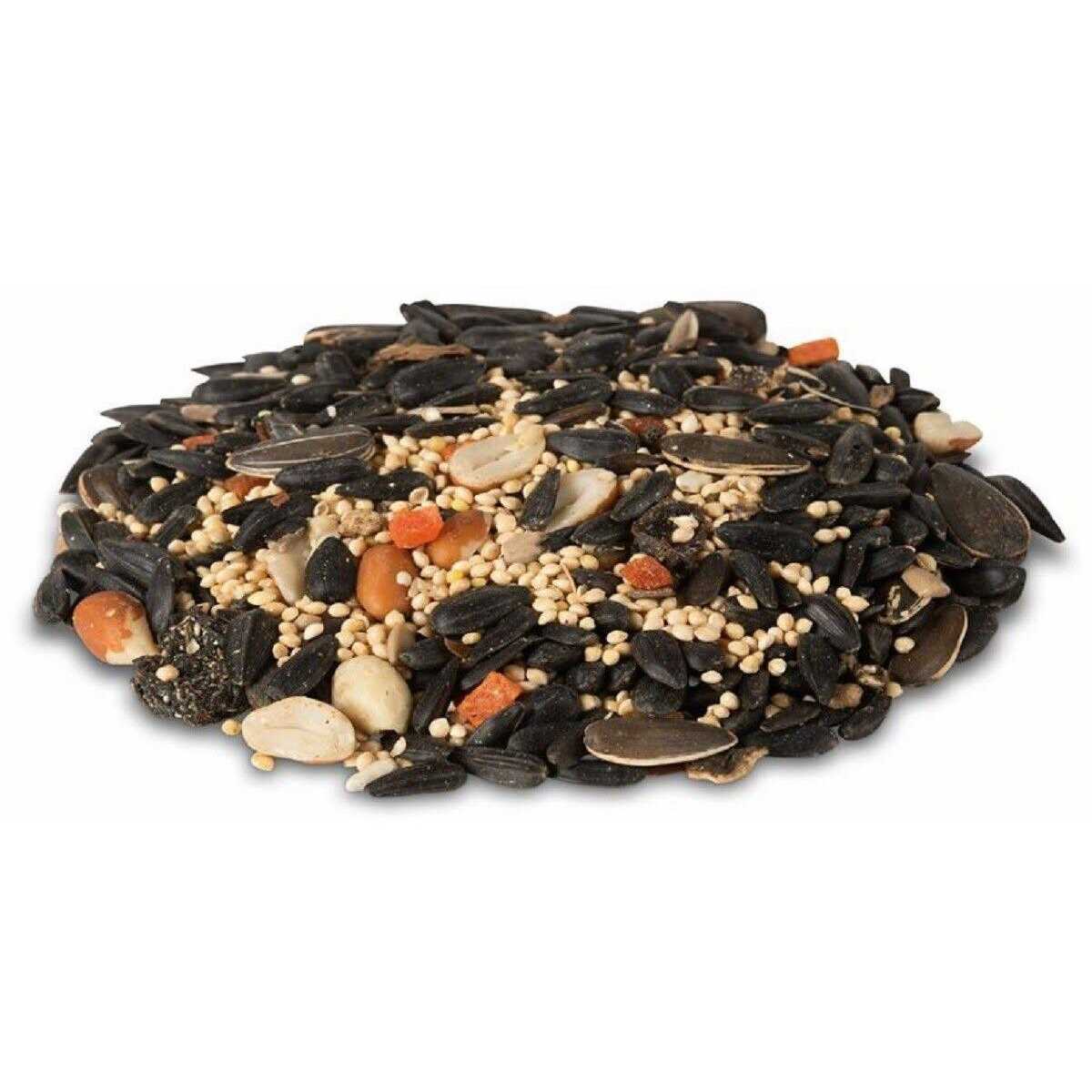 Royal Wing Fruit and Nut Bird Food Mix