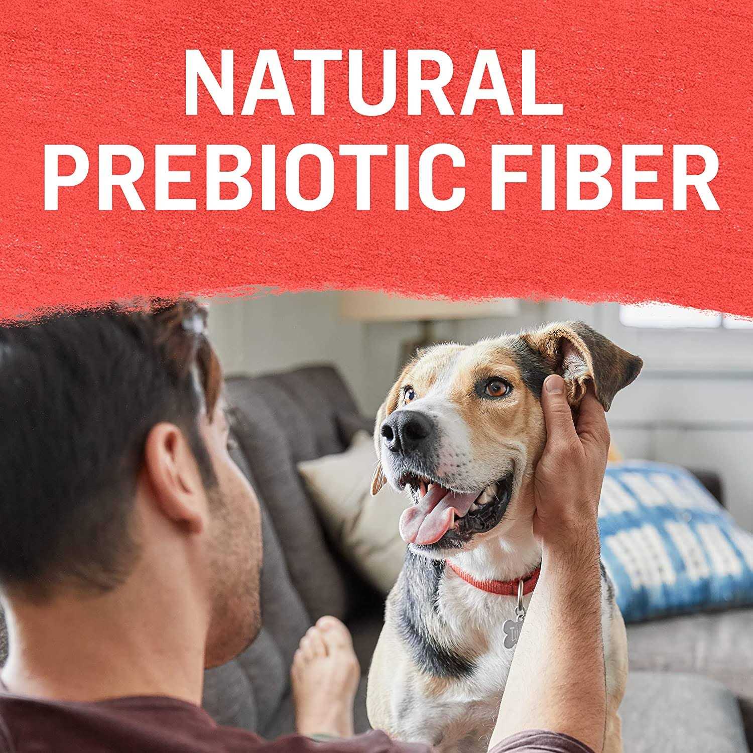 Purina Beyond Grain Free Beef Potato & Green Bean Recipe Ground Entree Adult Wet Dog Food 13 Ounce