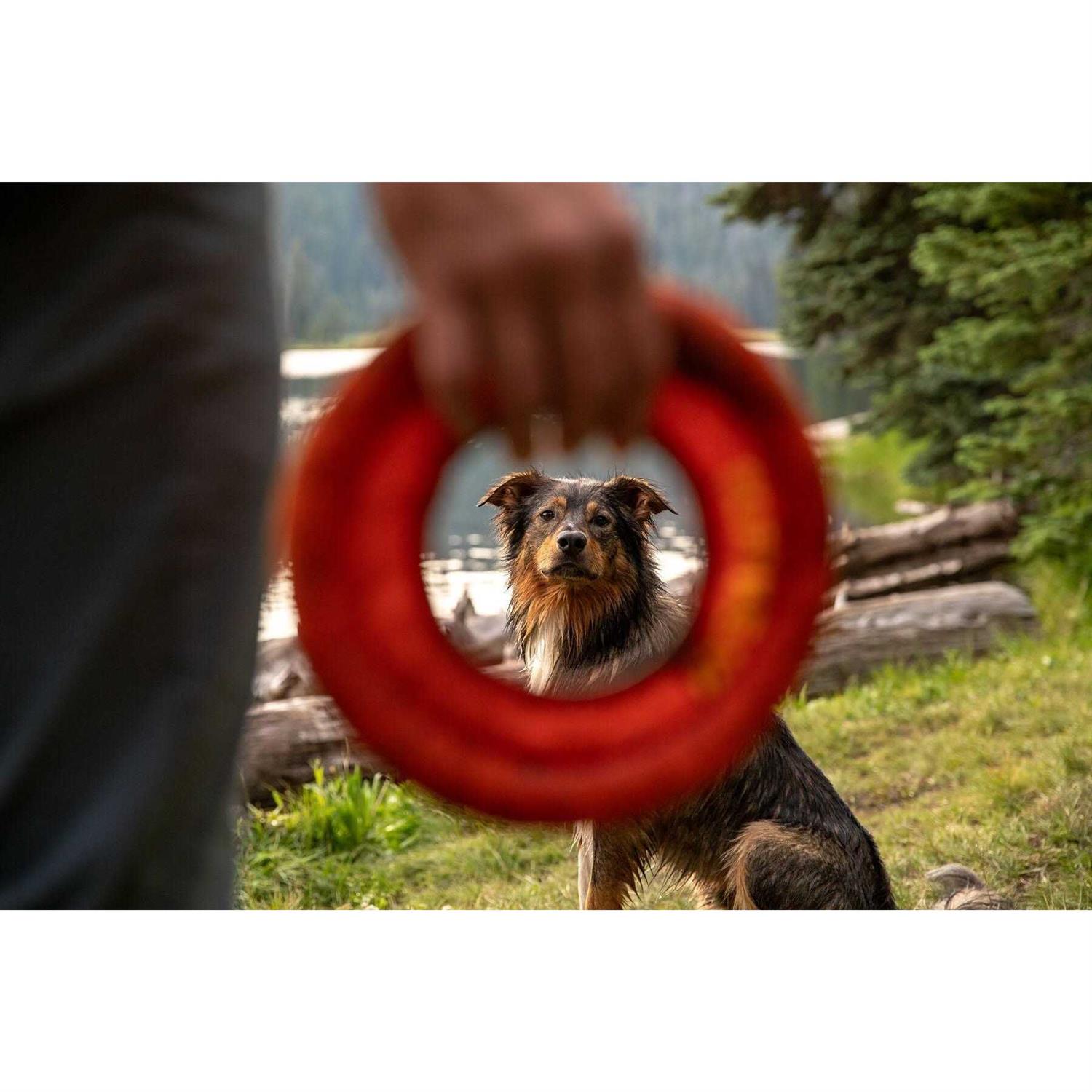 Ruffwear Hydro Plane Toy