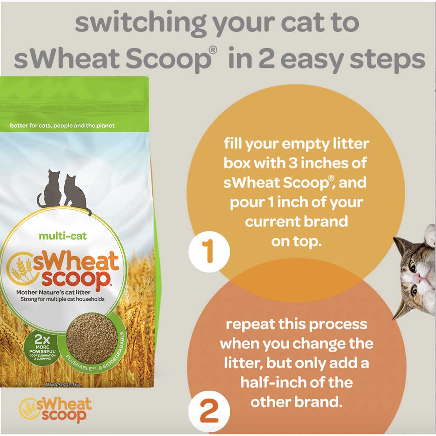 sWheat Scoop Cat Litter