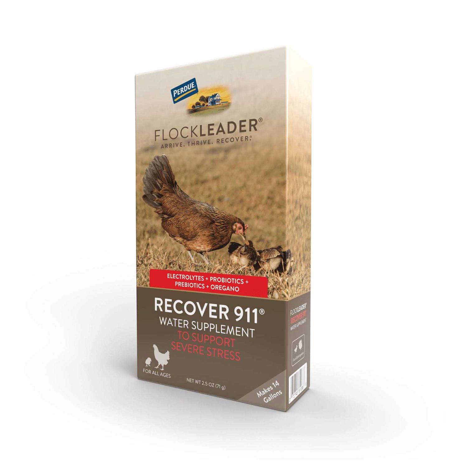 Flockleader Recover 911 Poultry Supplement