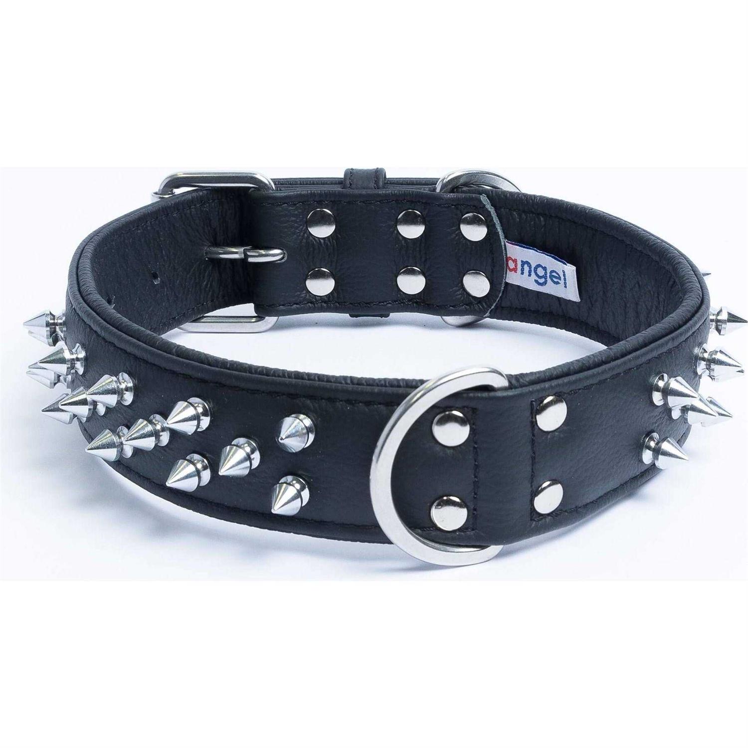 Amsterdam Dog Collar Spiked