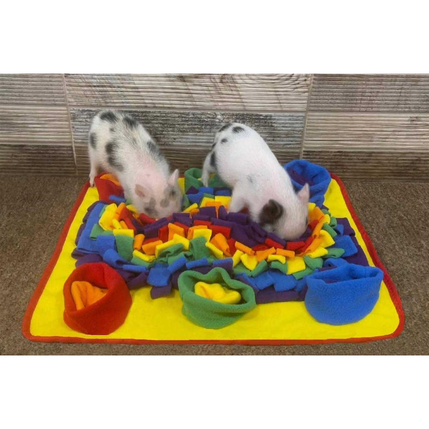 Piggy Poo and Crew Rainbow Pet Snuffle Mat