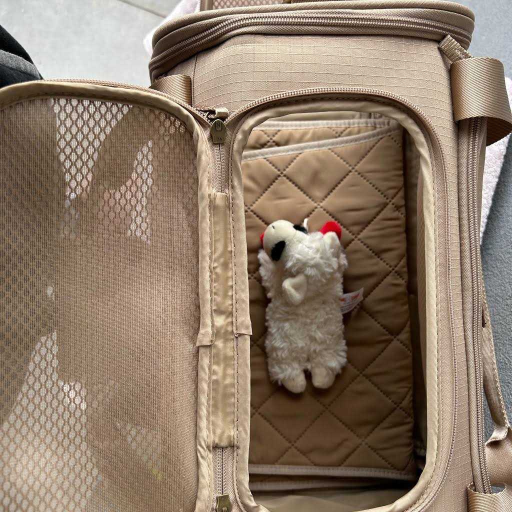 Reddy Fold-Out Pet Carrier
