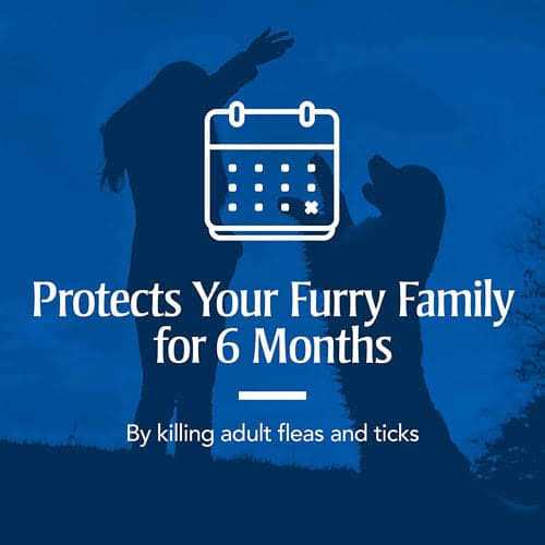 PetArmor Flea & Tick Collar for Dogs