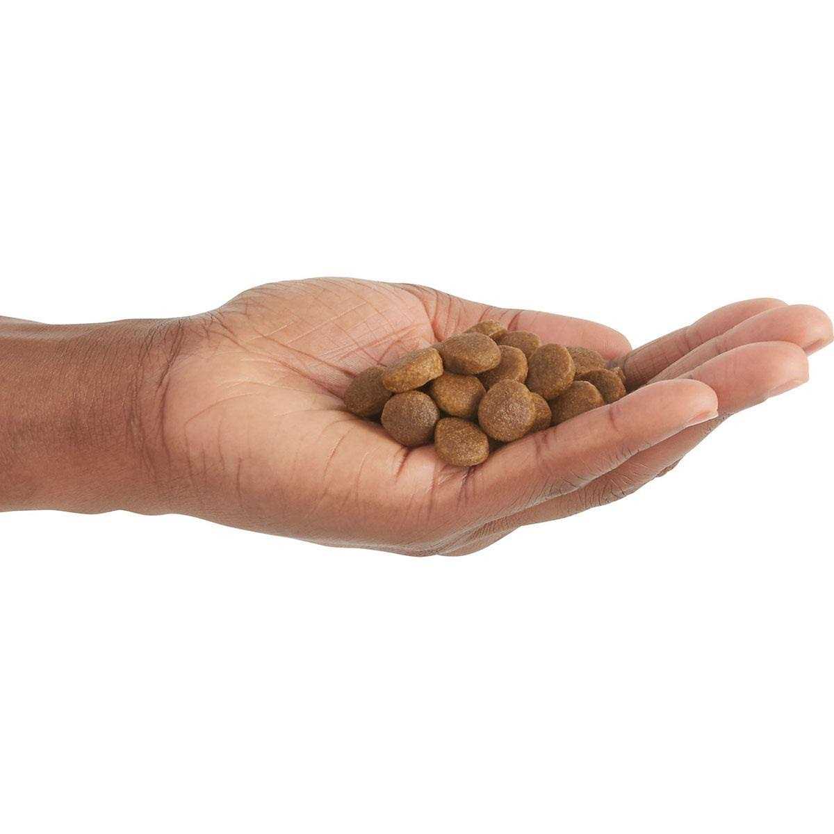 Acana Free-Run Poultry Dry Dog Food