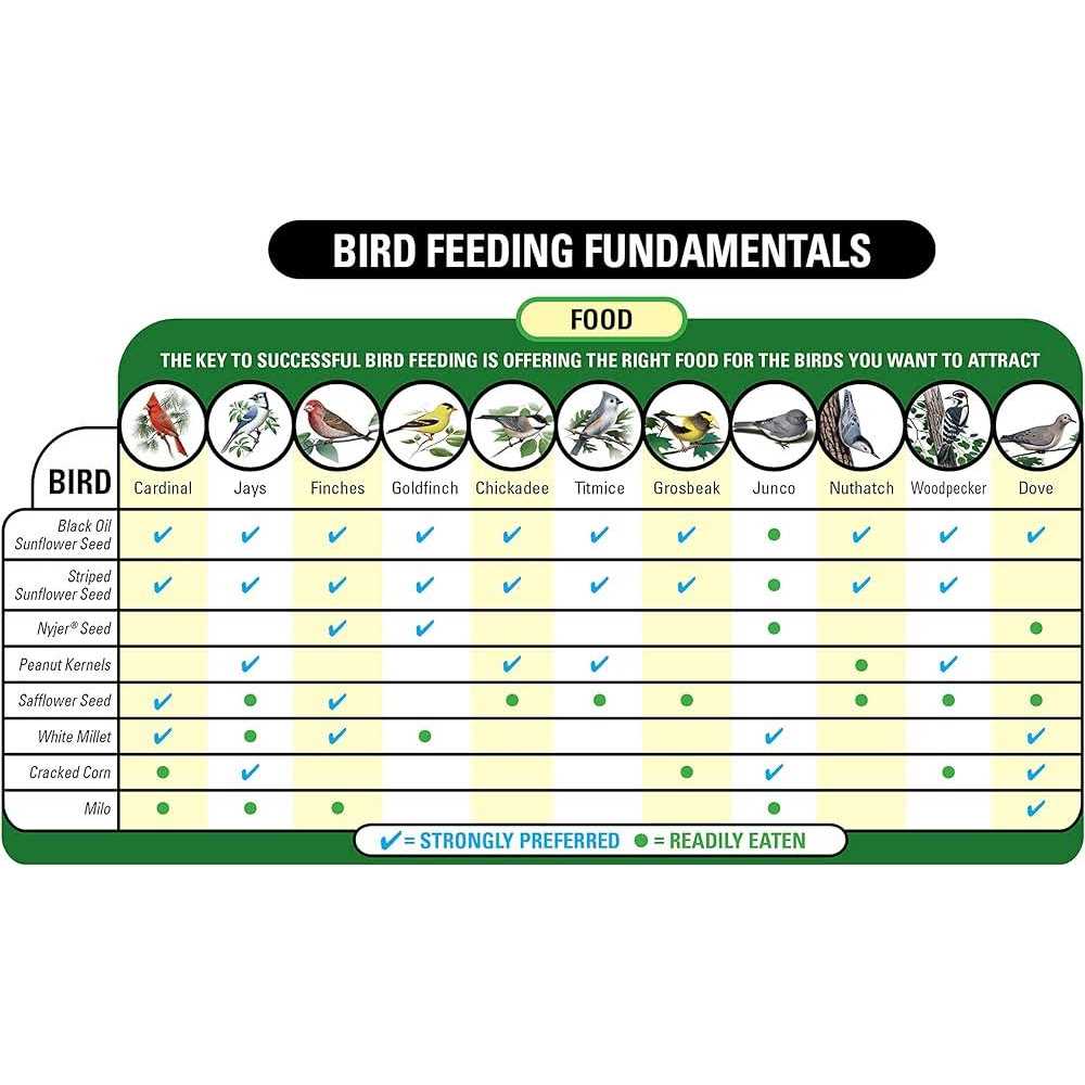 Wagner’s Nyjer Seed Wild Bird Food