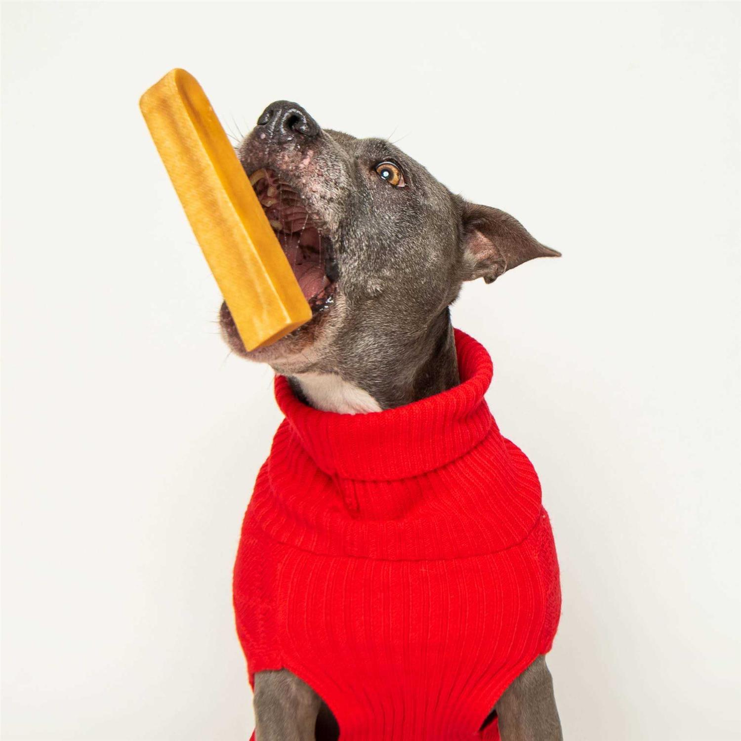 Best Bully Sticks Himalayan Golden Yak Cheese Chews Mixed Pack Dog Treats