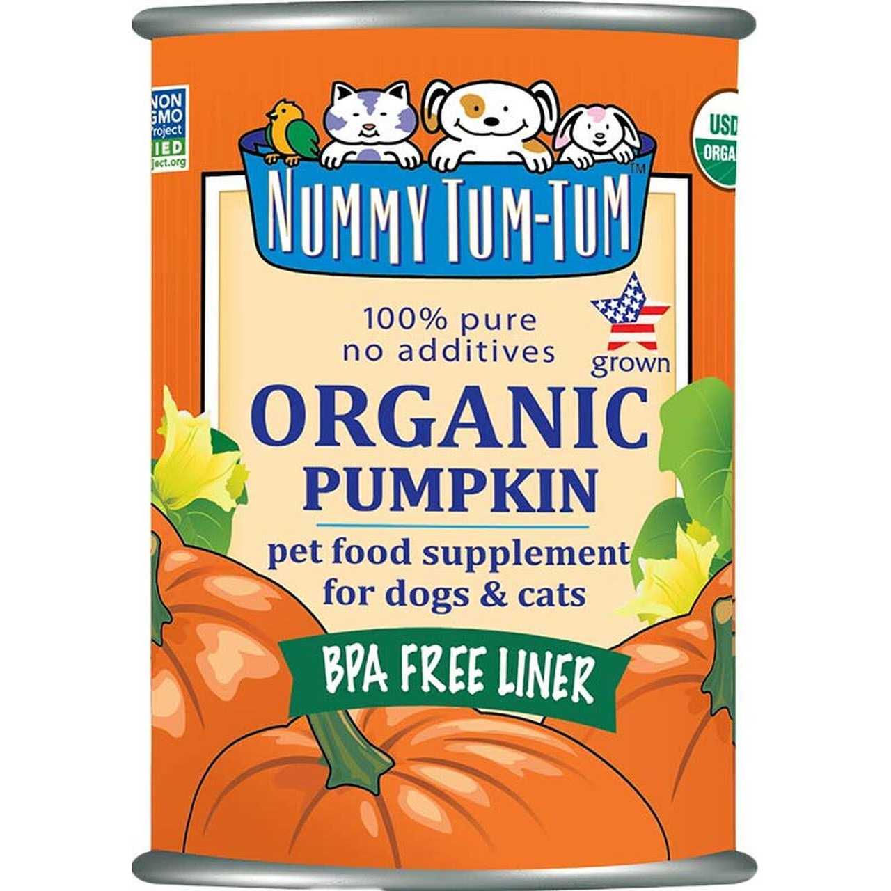 Nummy Tum-Tum Organic Pumpkin