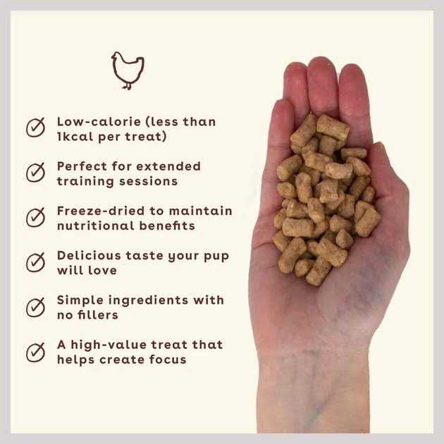 Pupford Chicken Training Freeze-Dried Dog Treats