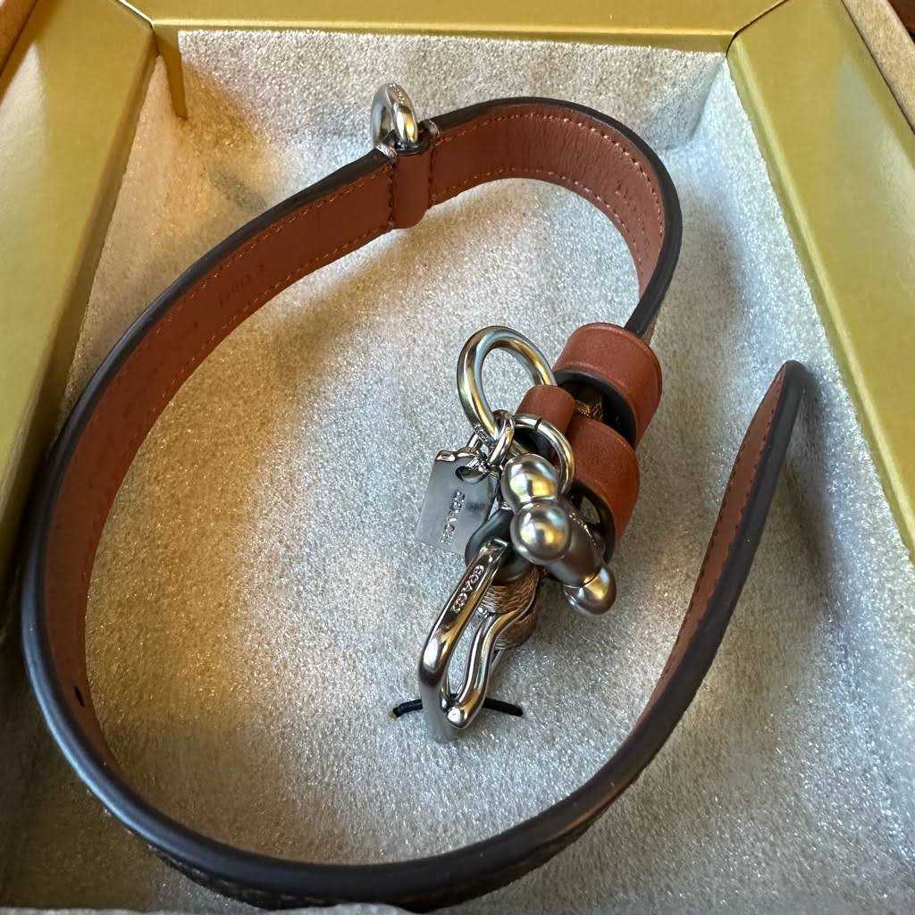 Coach Outlet Boxed Pet Collar In Signature Canvas