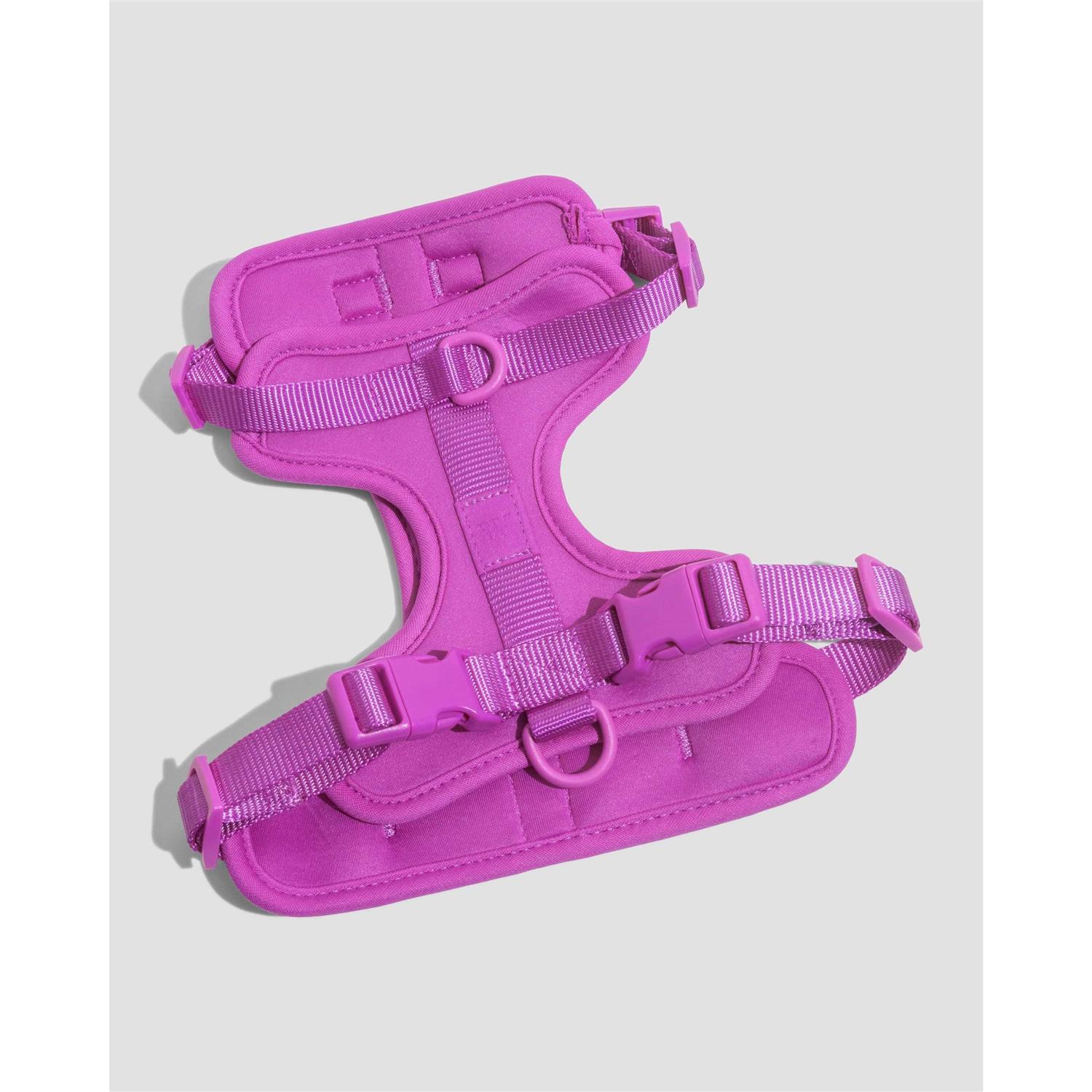 Wild One Dog Harness