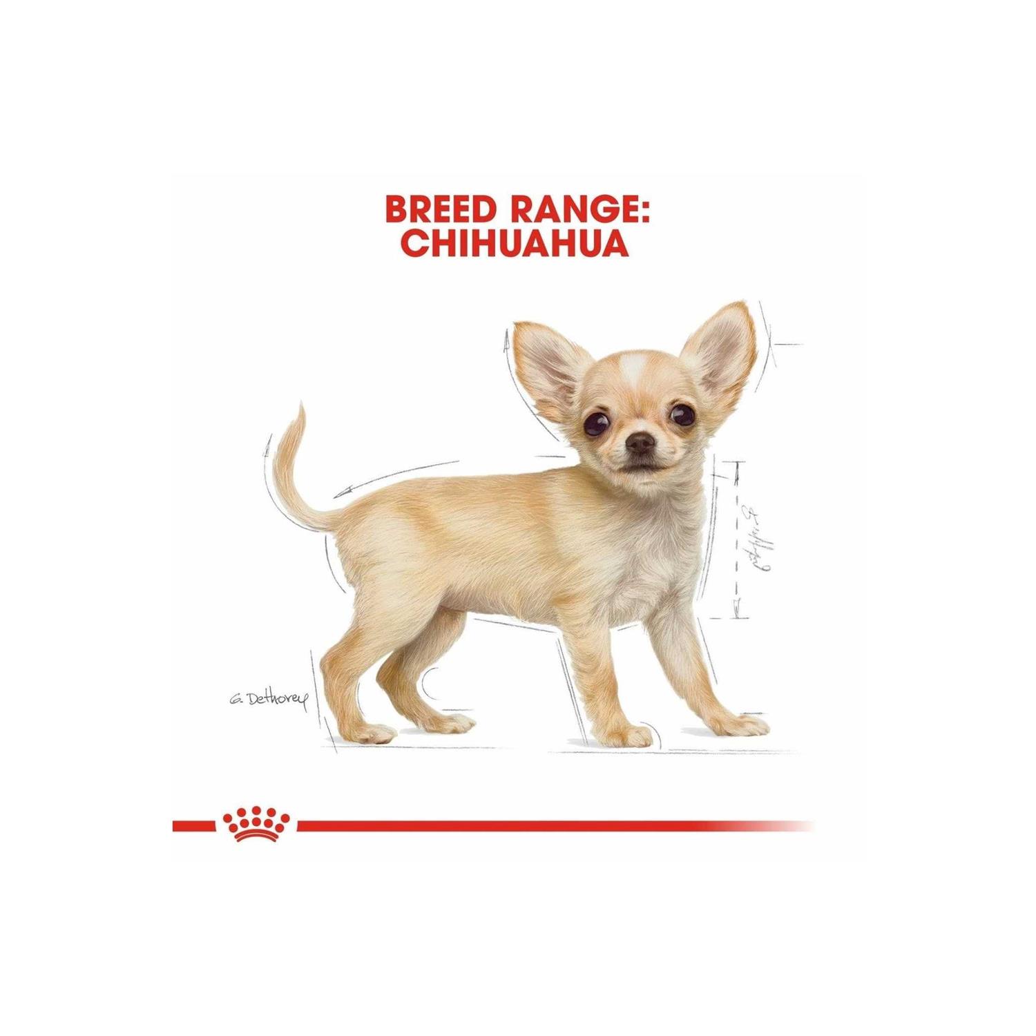 Royal Canin Breed Health Nutrition Chihuahua Puppy Dry Dog Food