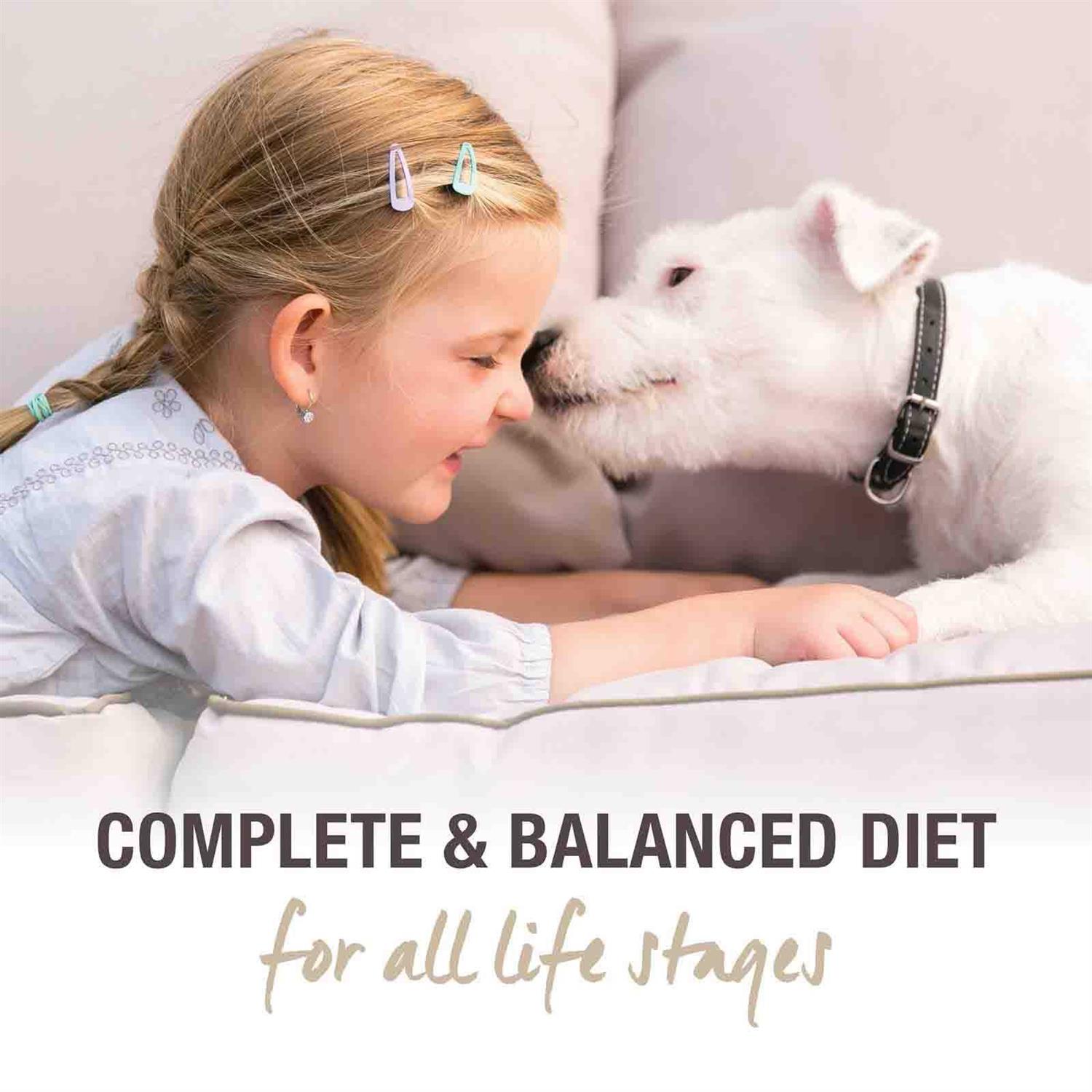 K9 Natural Beef Feast Freeze-Dried Dog Food