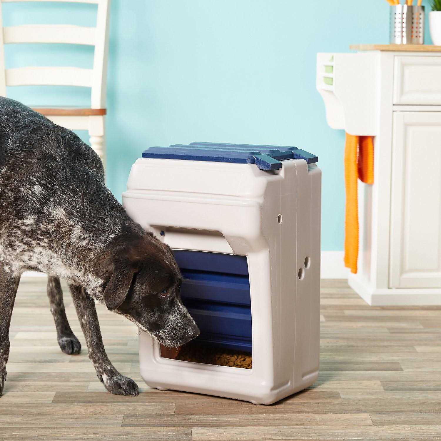 Bergan Aut-O-Dine 25 Pet Feeder