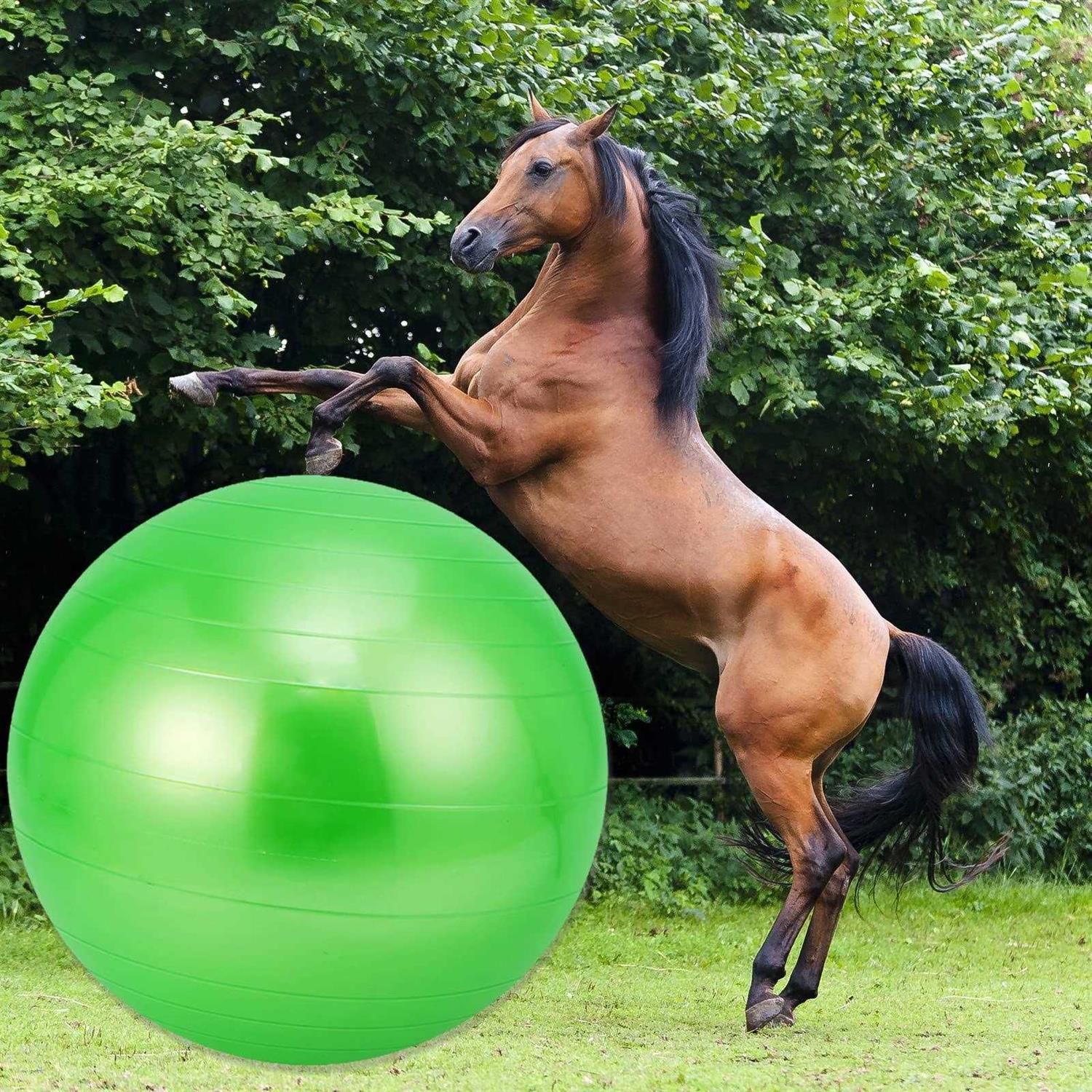 capuca Large Horse Balls for Play 30 Inch Anti-Burst Mega Herding Ball Giant Horse for Dogs Goats Horses to Play with Pump