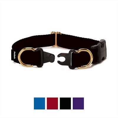 PetSafe Keepsafe Break-Away Dog Collar