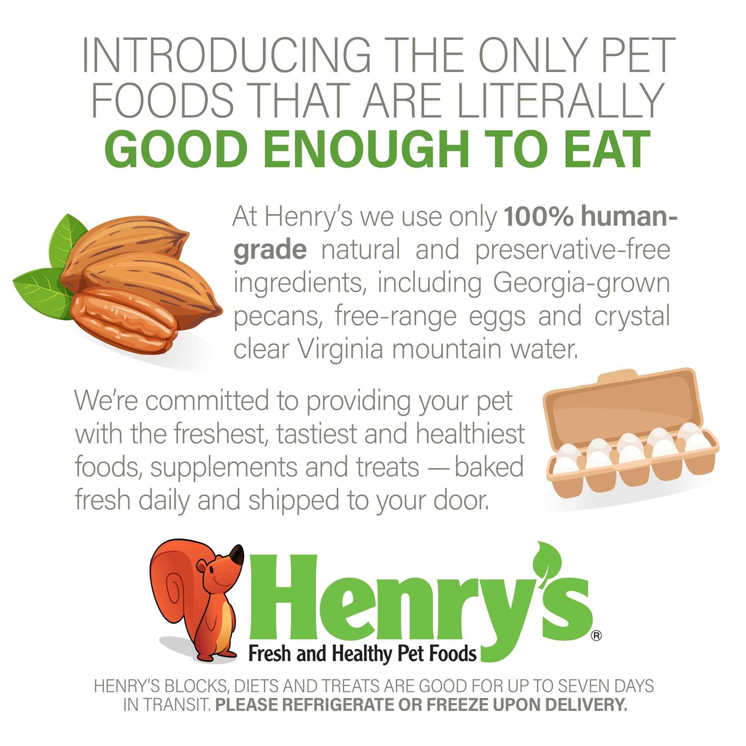 Henry’s Healthy Blocks Nutritionally Complete Food for Squirrels, Flying Squirrels, and Chipmunks