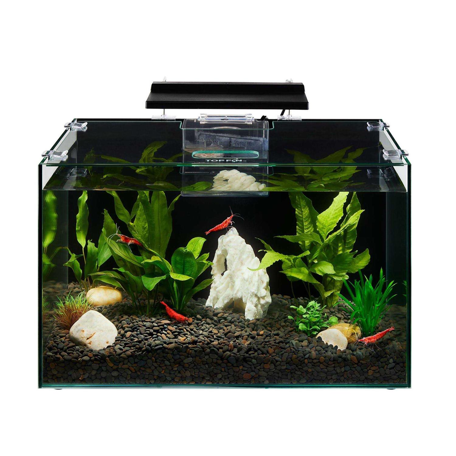 Top Fin Shrimp & Plantal Aquarium