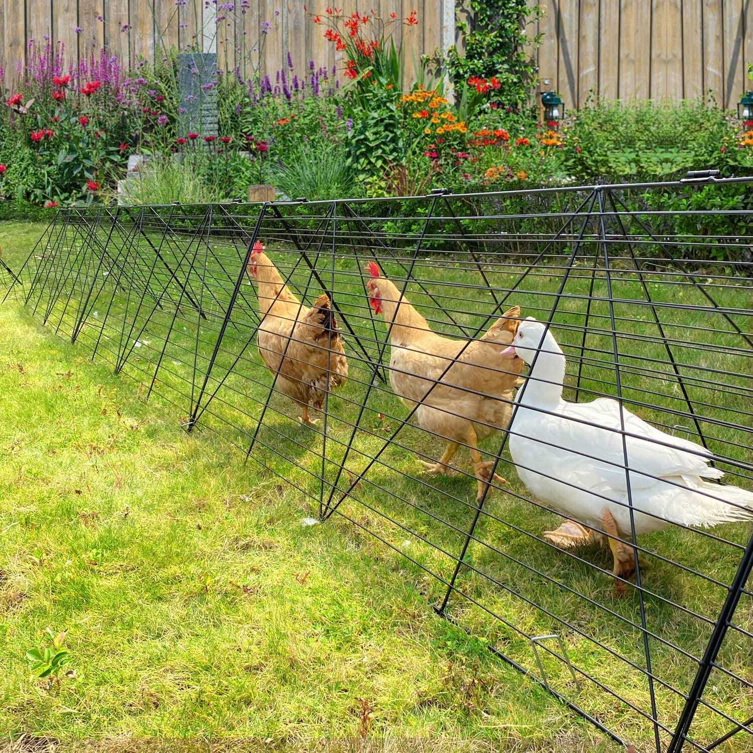 Chicken Tunnels for Yard Chicken Tunnels for Outside Chicken Run Coop Tunnel