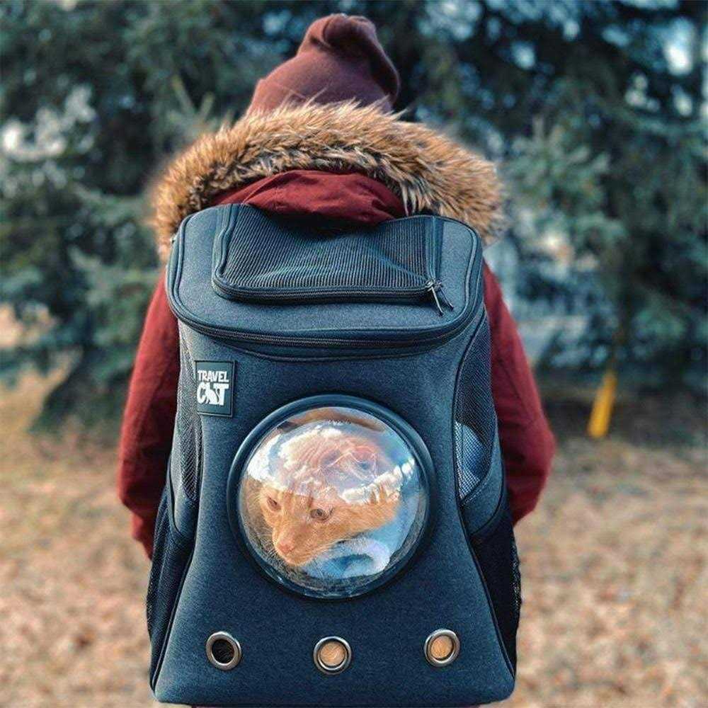 The Fat Cat Cat Backpack