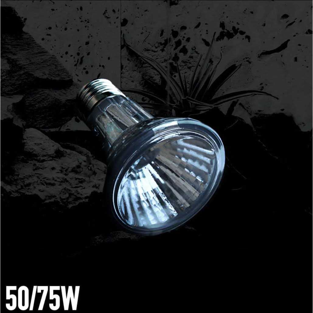 Arcadia Halogen Heat Lamp