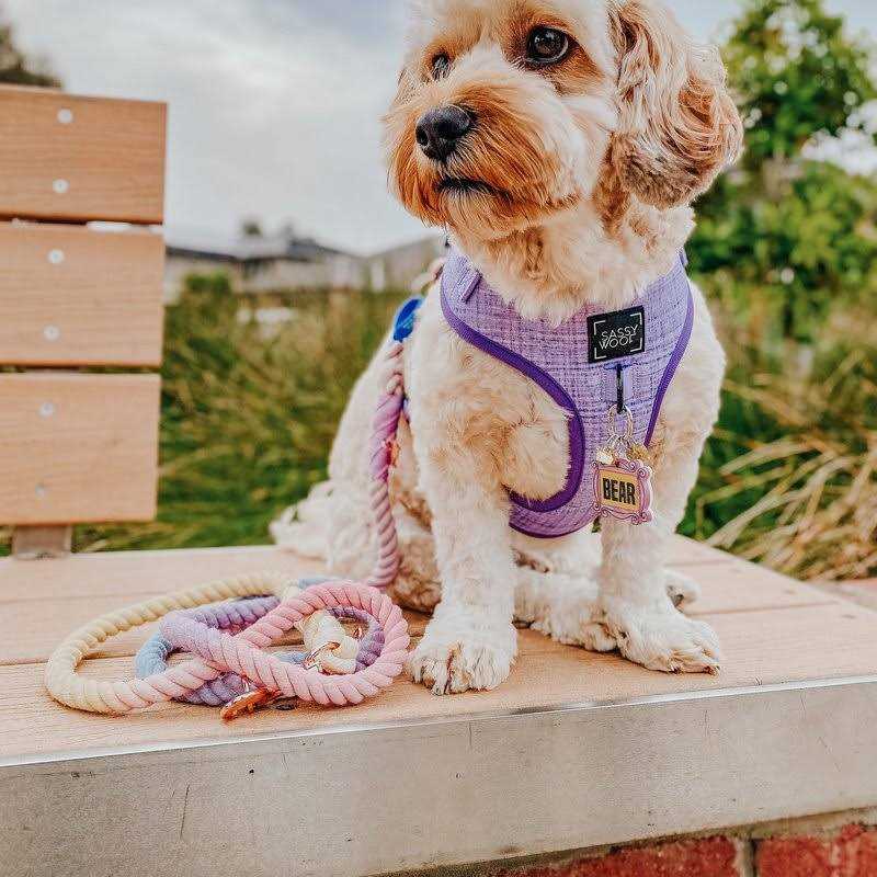 Dog Rope Leash Sassy Woof