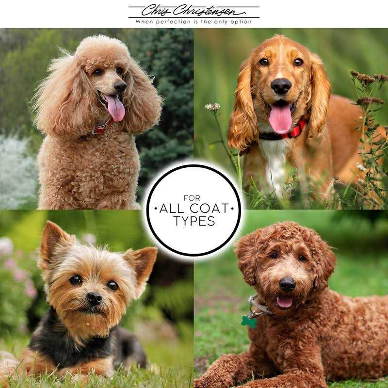 Chris Christensen Silk Spirits Conditioner