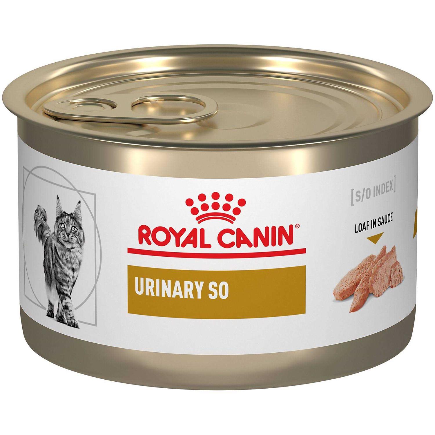 Royal Canin Urinary So in Gel Canned Wet Cat Food