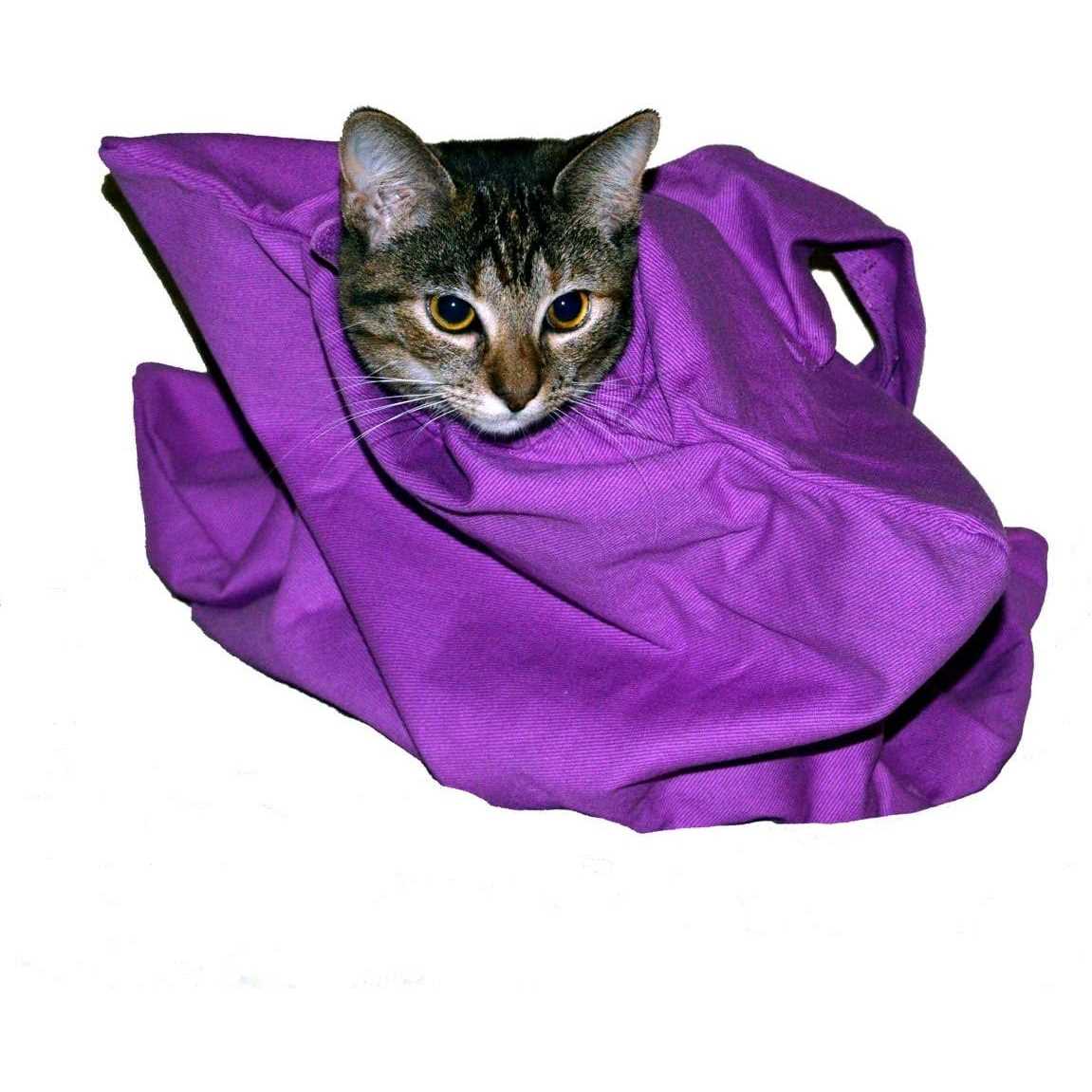 Cat-in-the-Bag Cozy Comfort Carrier