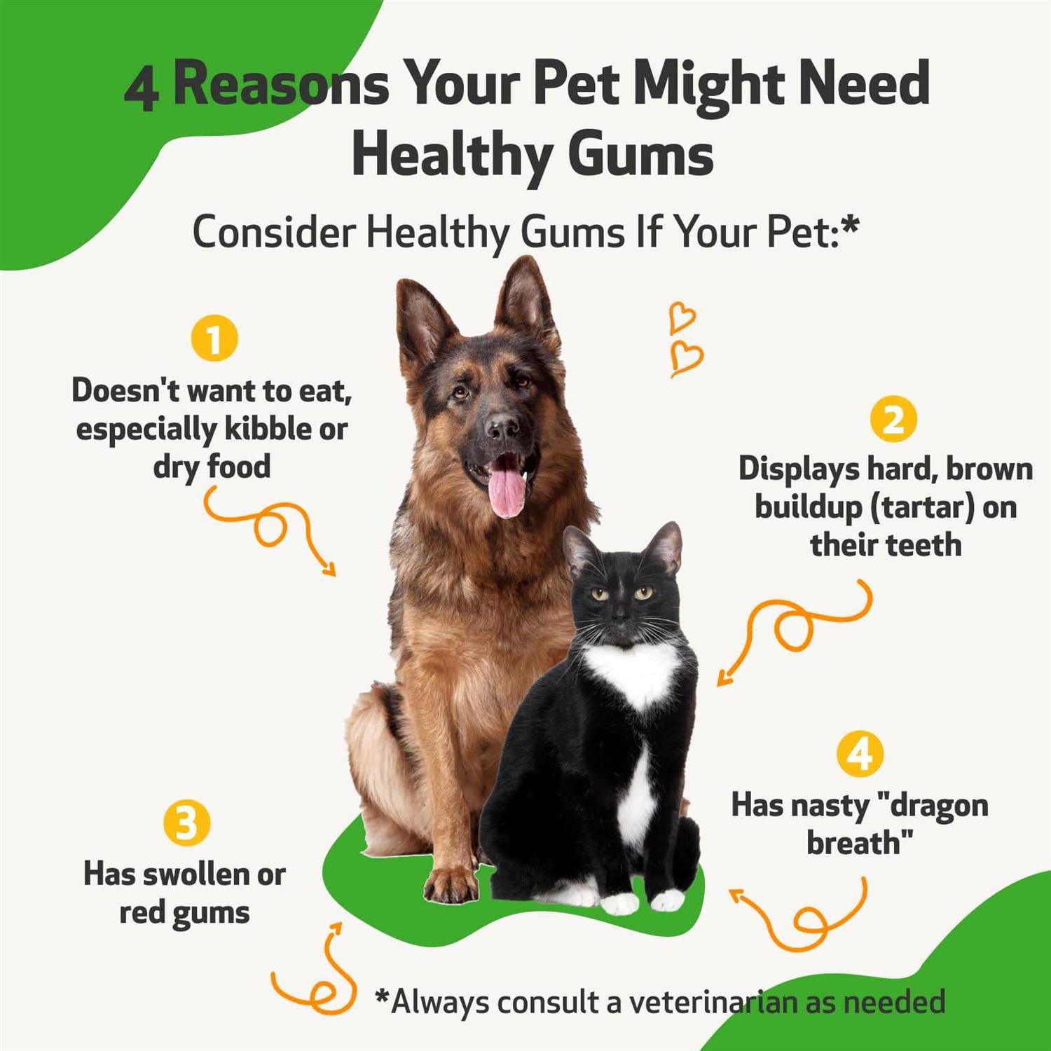 Pet Wellbeing Healthy Gums for Feline Periodontal Health