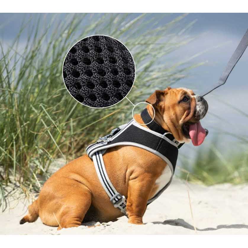 Hugo & Hudson Mesh Dog Collar