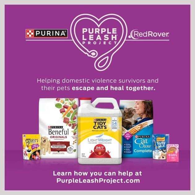 Purina Friskies Natural Grain Free Senior Broth Wet Cat Food Complement Lil’ Soups Skipjack Tuna