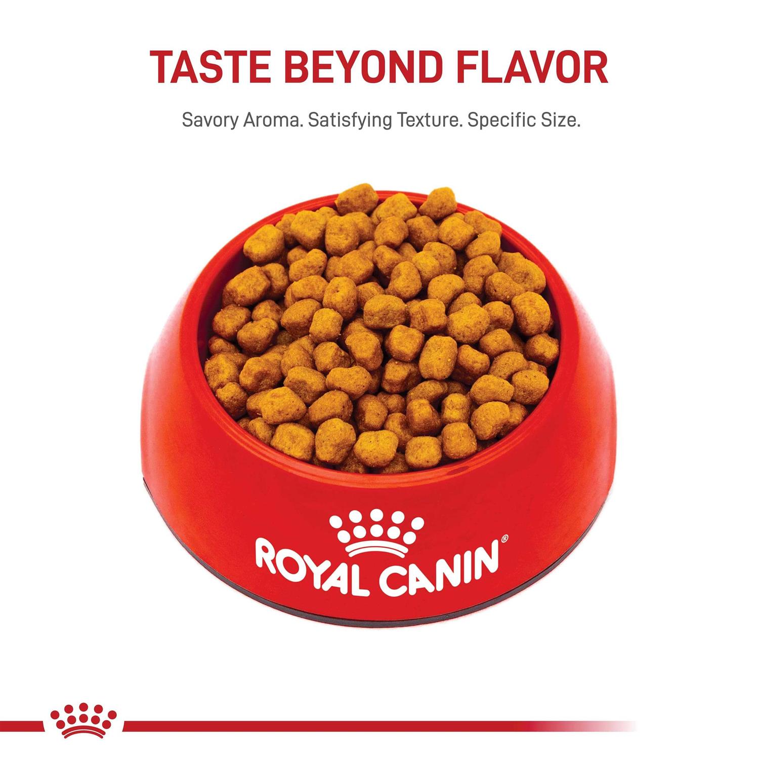 Royal Canin Breed Shih Tzu Adult Dry Dog Food