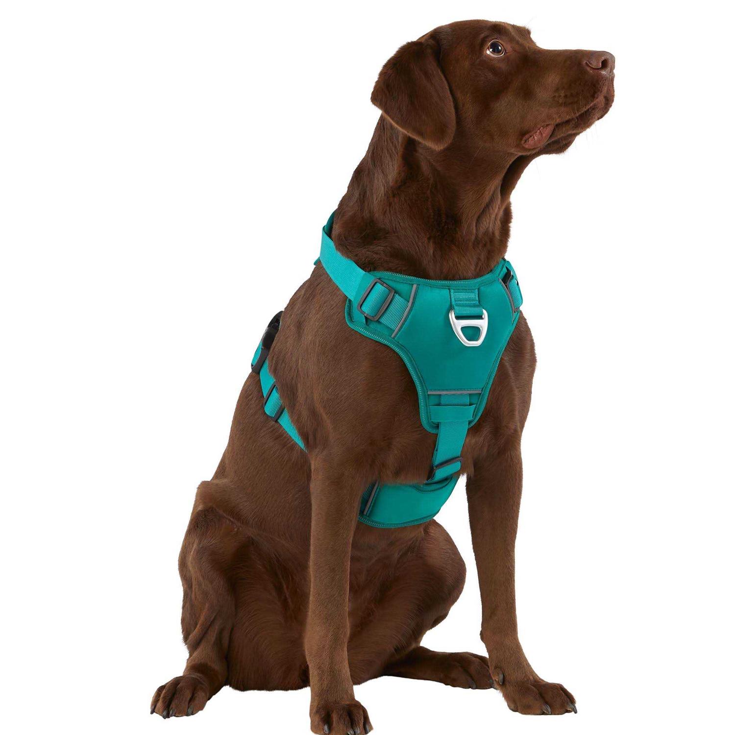 Arcadia Trail Neoprene Dog Harness