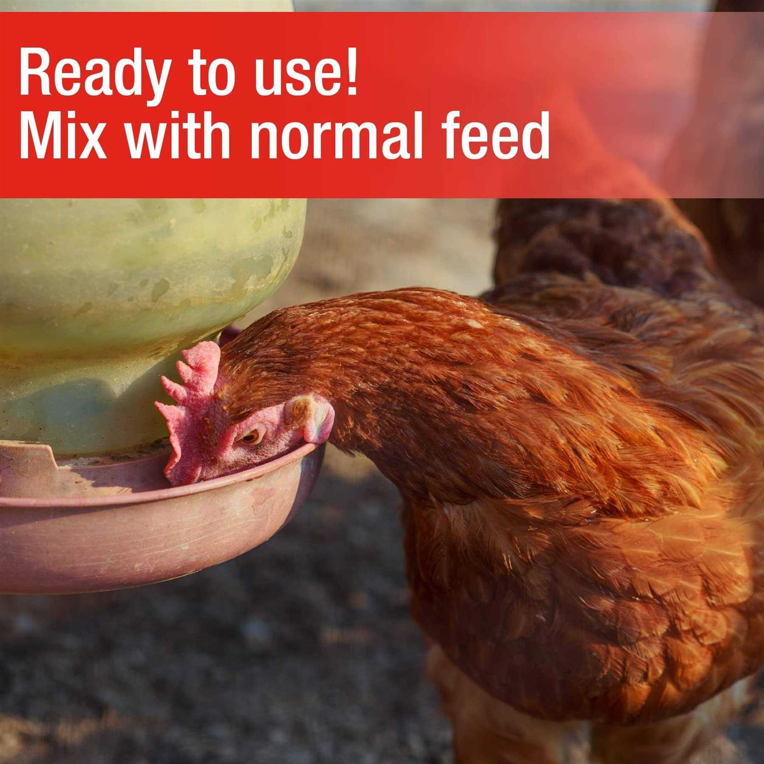 Cherry Stone Poultry Grit