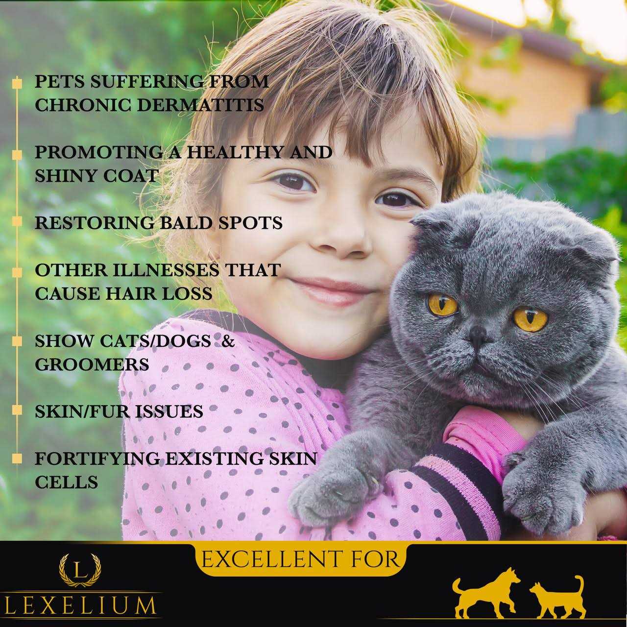 Lexelium Dermatitis Skin and Coat Supplement for Dogs and Cats Promotes Healthy Skin and Fur for Dogs and Cats