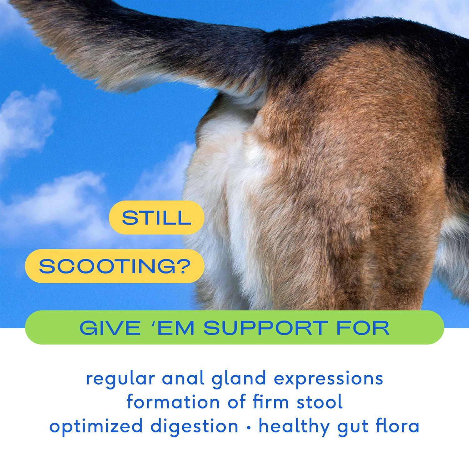 Native Pet GlandAid Anal Gland Supplement for Dogs