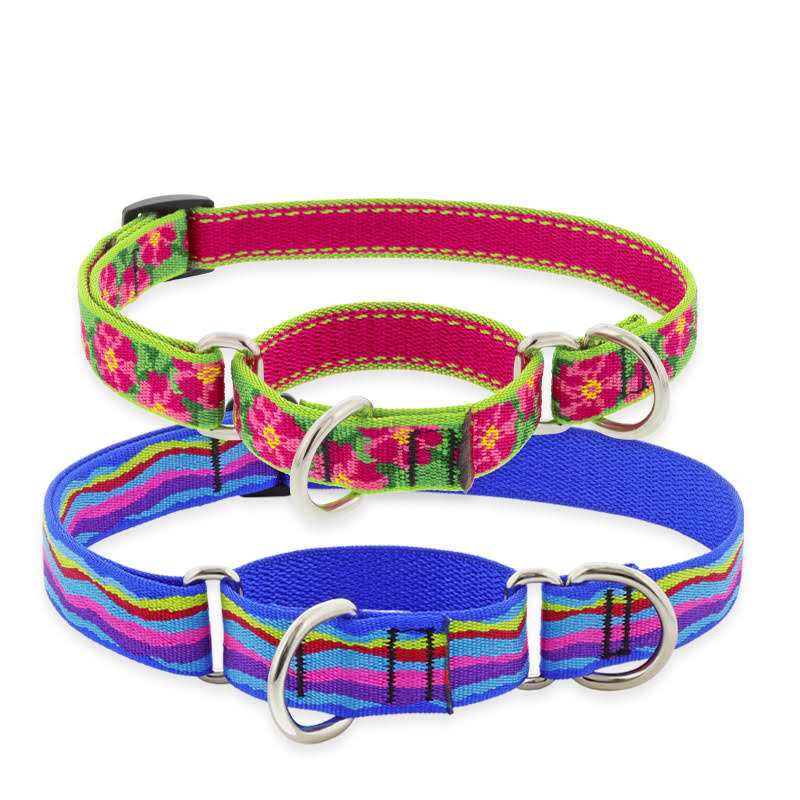 LupinePet Martingale Collar