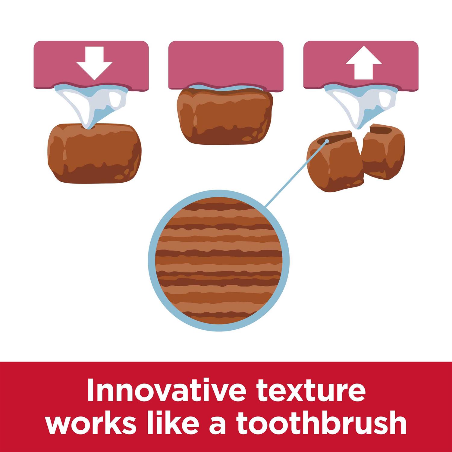 Hill’s Science Diet Adult Oral Care Small & Mini Chicken Recipe Dry Dog Food