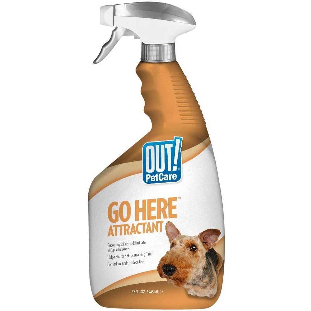 Out! Petcare Go Here Attractant Indoor and Outdoor Dog Training Spray
