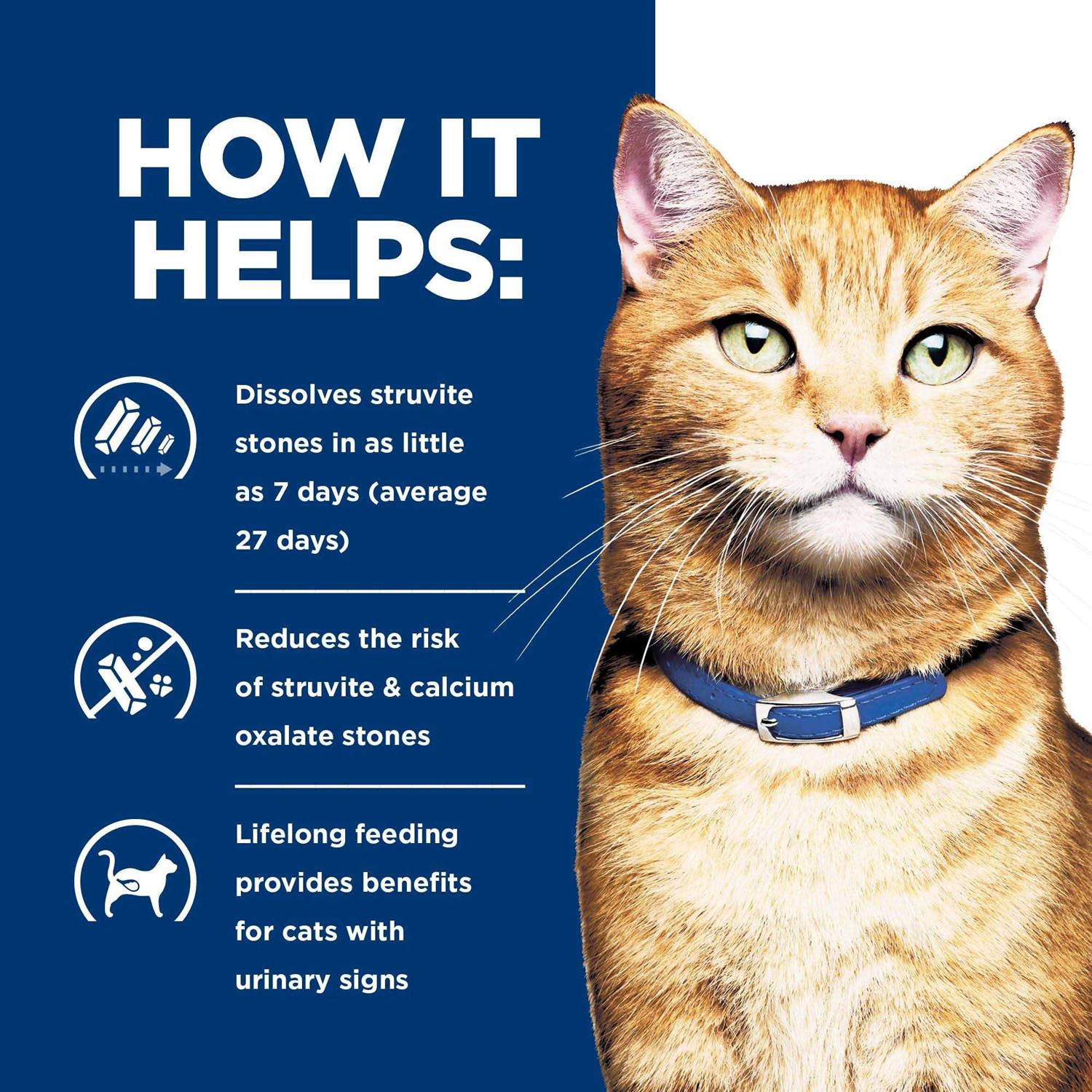 Prescription Diet c/d Multicare Urinary Care Dry Cat Food