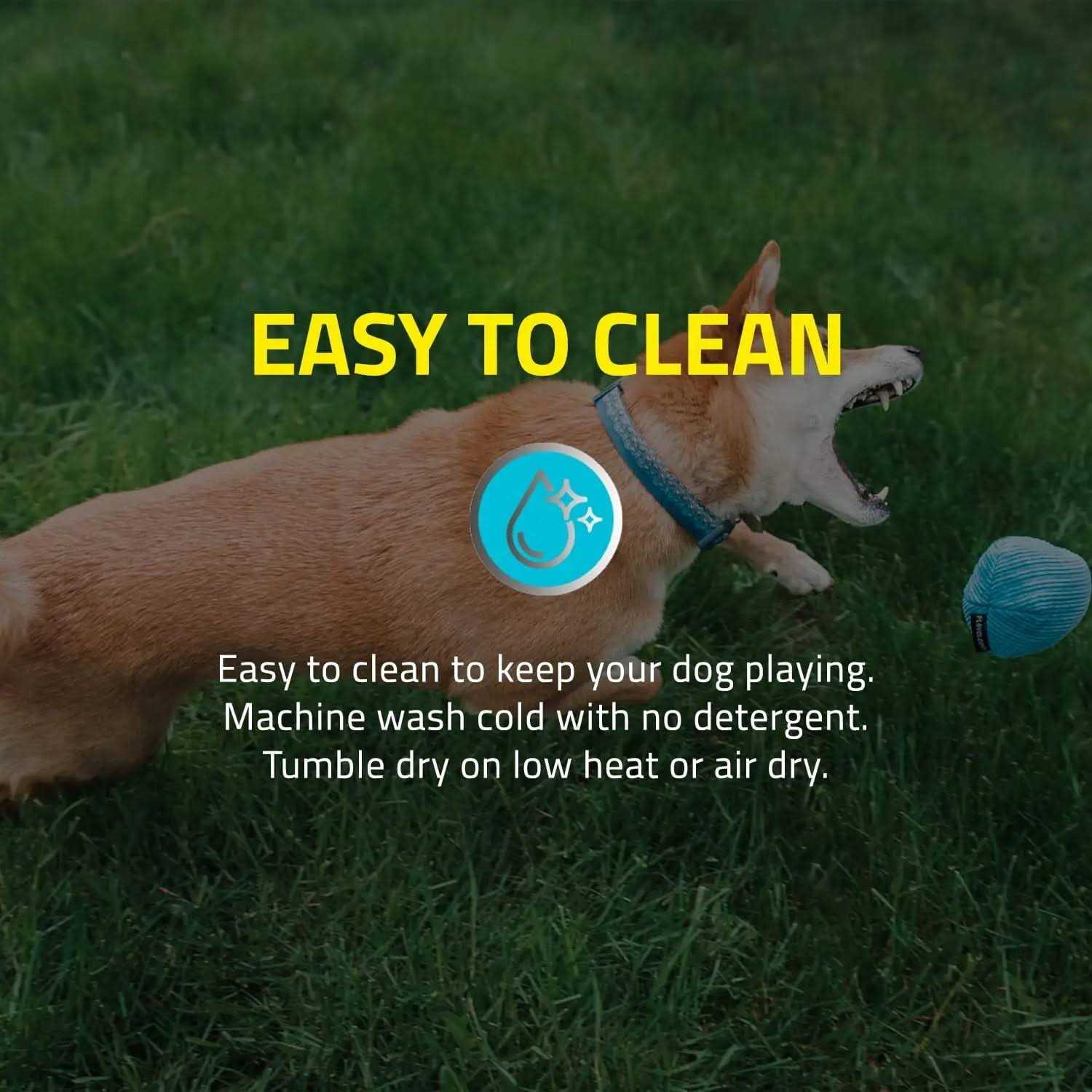 Playology Plush Ball Scented Dog Toy